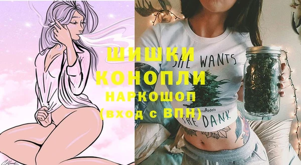 гидра Гусь-Хрустальный