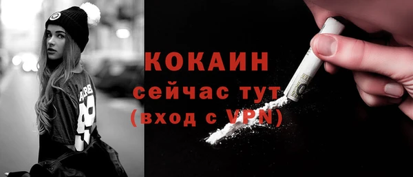 гидра Гусь-Хрустальный