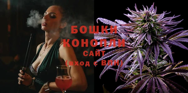 гидра Гусь-Хрустальный