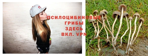 MDMA Premium VHQ Гусев