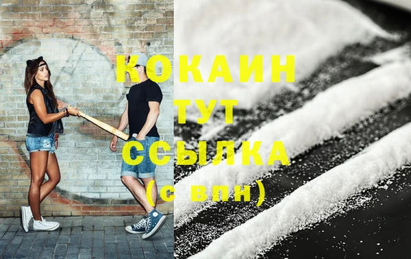 гидра Гусь-Хрустальный