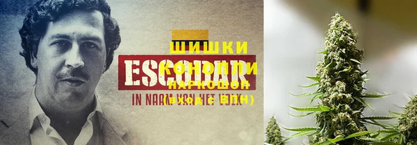 прущая мука Гусиноозёрск
