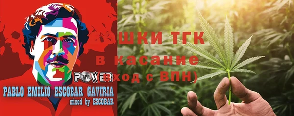гидра Гусь-Хрустальный