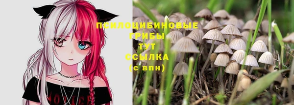 MDMA Premium VHQ Гусев