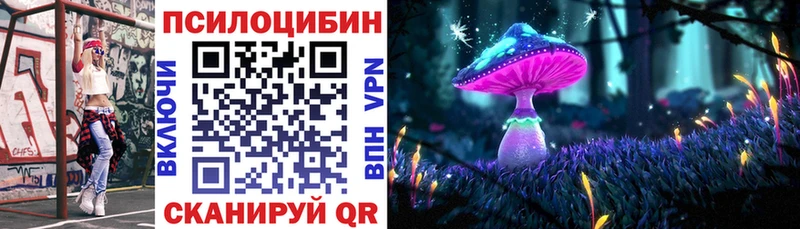 Псилоцибиновые грибы мицелий  Купить закладки  Заречный 